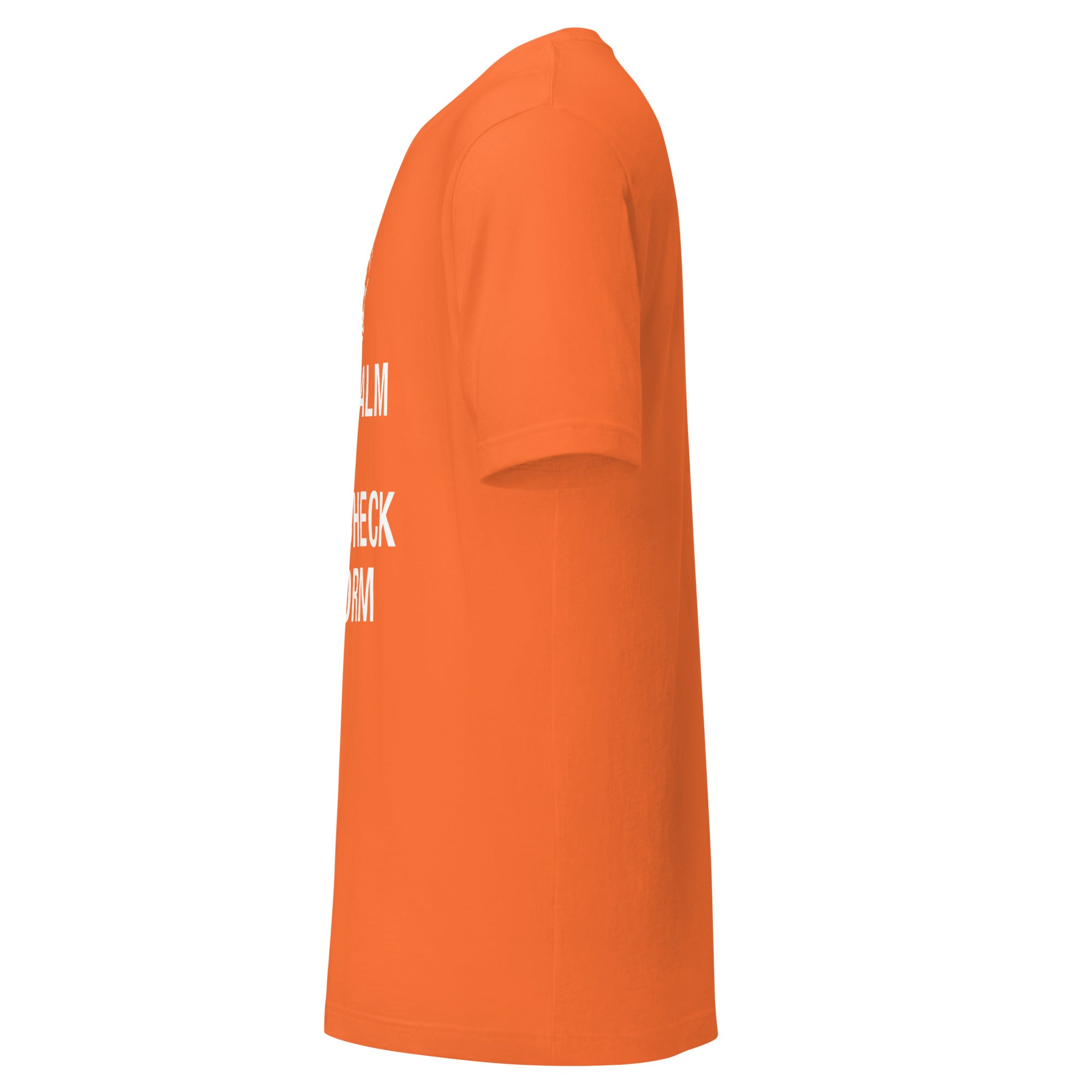 "Keep Calm and Fact-Check Reform" Unisex Premium T-Shirt