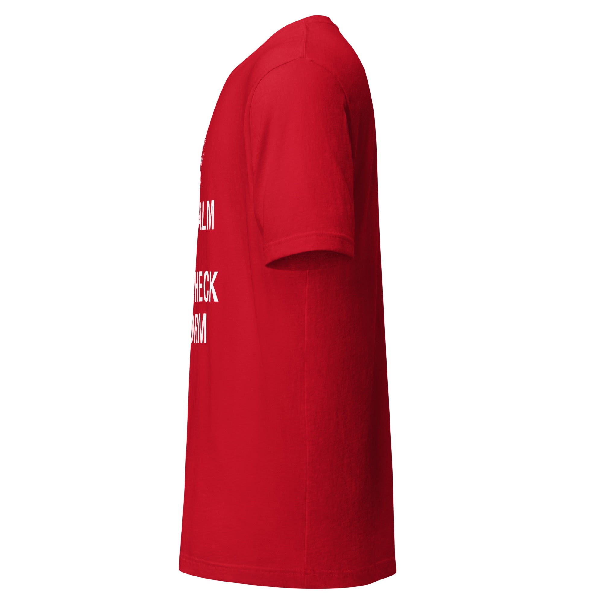 "Keep Calm and Fact-Check Reform" Unisex Premium T-Shirt